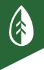 plant.png
